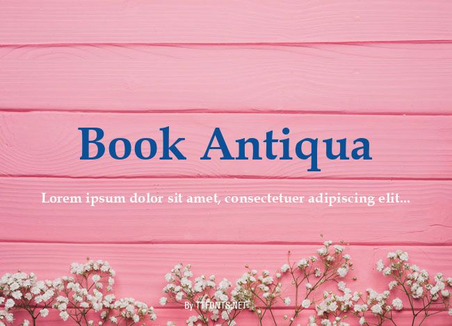 Book Antiqua example